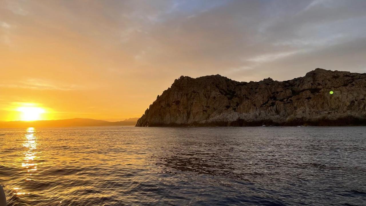Monti Russu Natural Guest House Aglientu Εξωτερικό φωτογραφία