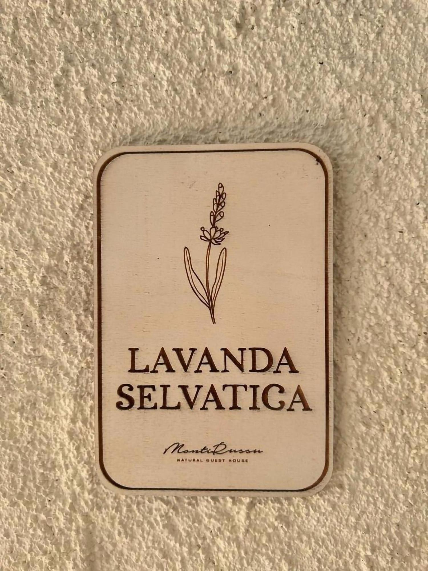 Monti Russu Natural Guest House Aglientu Εξωτερικό φωτογραφία